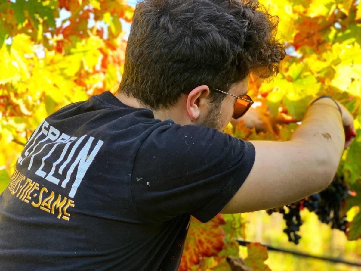 Agriturismo Biocore 2 - Colledoro Giulianova Eksteriør billede